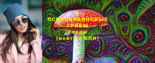 стаф Волоколамск